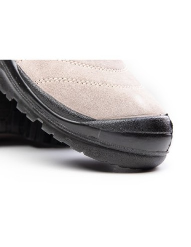 TRZEWIK R01 S1 SRC - BEARFIELD