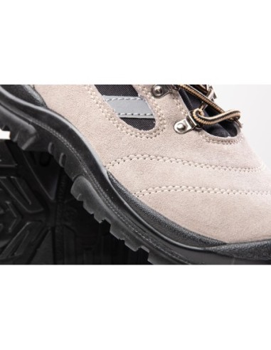 TRZEWIK R01 S1 SRC - BEARFIELD