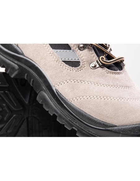 TRZEWIK R01 S1 SRC - BEARFIELD