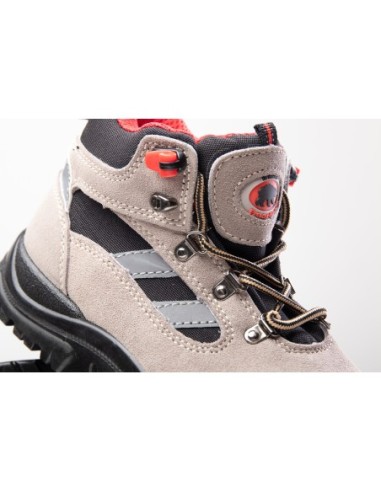 TRZEWIK R01 S1 SRC - BEARFIELD