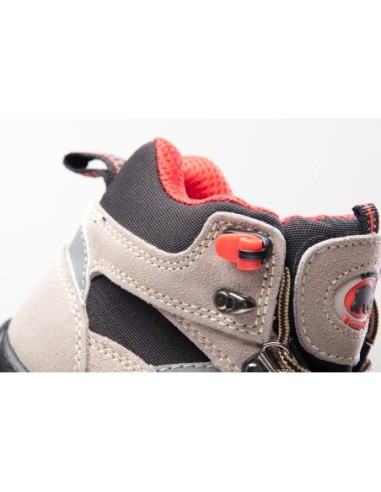 TRZEWIK R01 S1 SRC - BEARFIELD