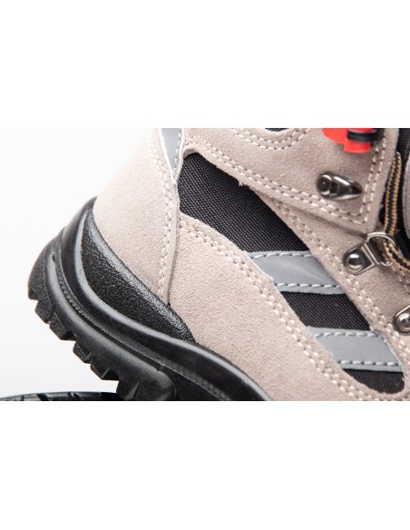 TRZEWIK R01 S1 SRC - BEARFIELD