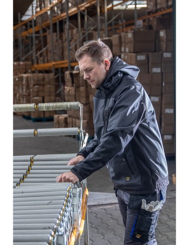 SOFTSHELL QUARTZ - SEVEN_KINGS