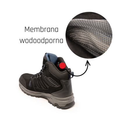 TRZEWIK BEARFIELD X TRAIL TRZEWIK O6 SR FO - BEARFIELD