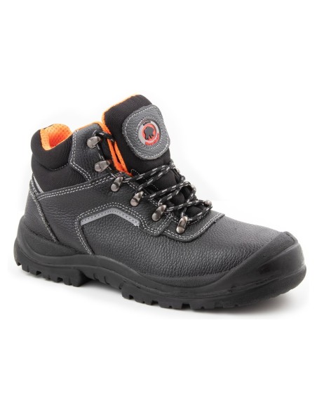 TRZEWIK R02 S1 SRC - BEARFIELD