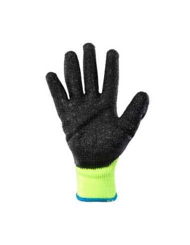 WINTER kat. II - COVENT