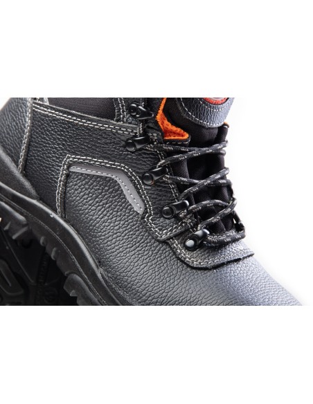 TRZEWIK R02 S1 SRC - BEARFIELD