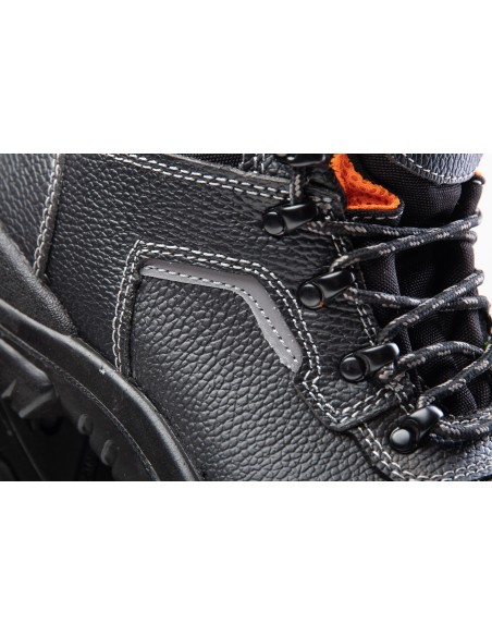 TRZEWIK R02 S1 SRC - BEARFIELD