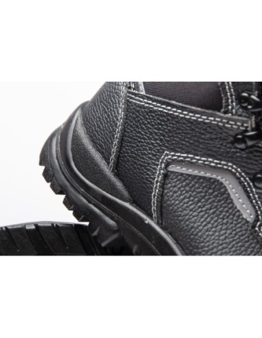 TRZEWIK R02 S1 SRC - BEARFIELD