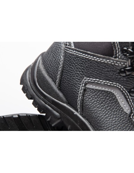 TRZEWIK R02 S1 SRC - BEARFIELD