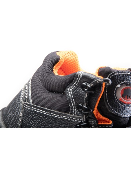 TRZEWIK R02 S1 SRC - BEARFIELD