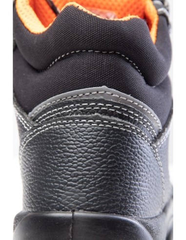 TRZEWIK R02 S1 SRC - BEARFIELD