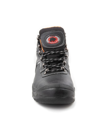 TRZEWIK R02 S3 SRC - BEARFIELD