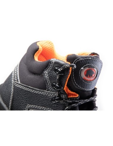 TRZEWIK R02 S3 SRC - BEARFIELD