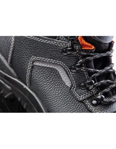 TRZEWIK R02 S3 SRC - BEARFIELD