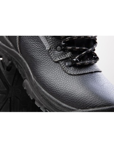 TRZEWIK OCIEPLANY R02 S3 SRC  - BEARFIELD