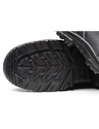 TRZEWIK R02 O1 SRC - BEARFIELD