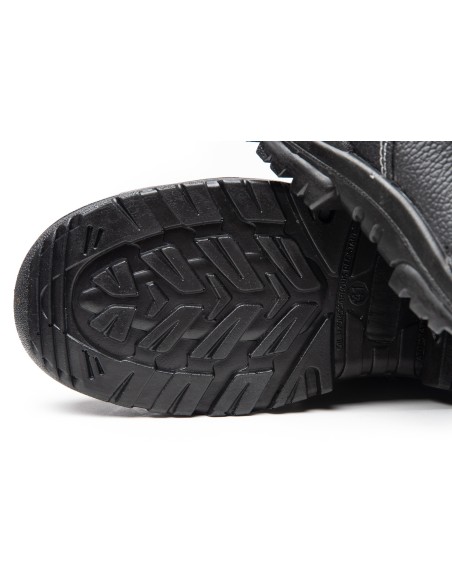 TRZEWIK R02 O1 SRC - BEARFIELD