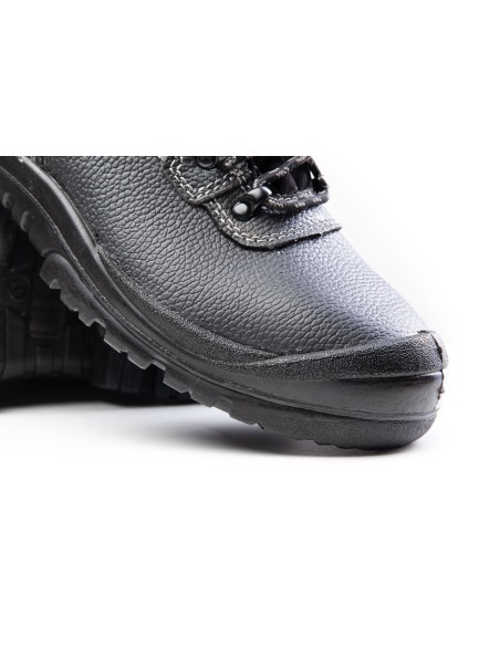 TRZEWIK R02 O1 SRC - BEARFIELD