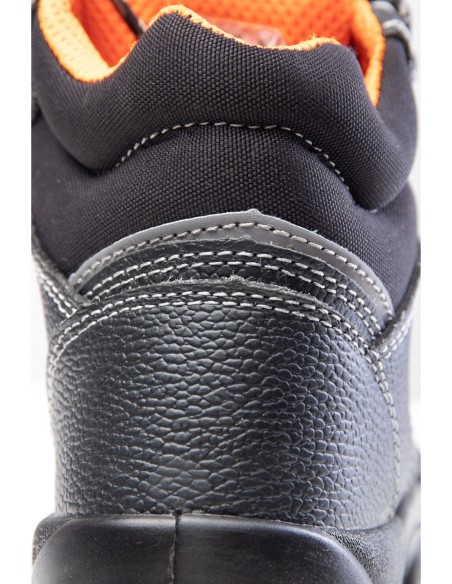 TRZEWIK R02 O1 SRC - BEARFIELD