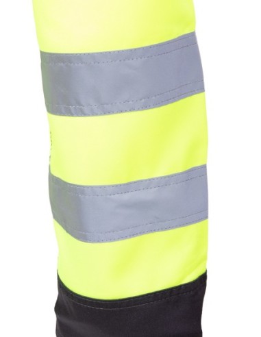 SPODNIE DO PASA FLASH - SEVEN KINGS