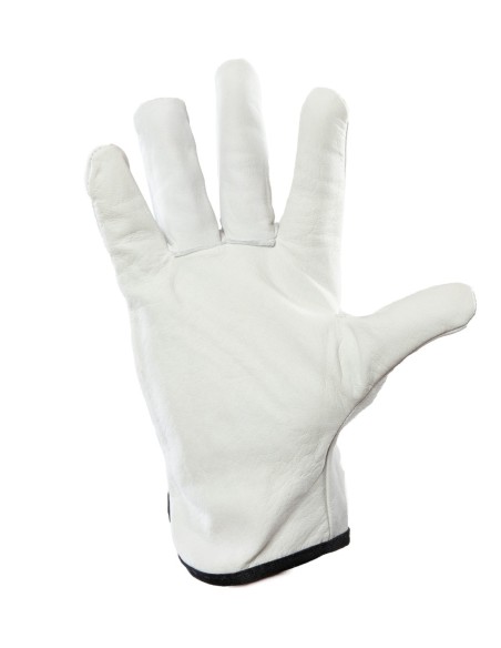 DRIVE SKÓRA BYDLĘCA - CABRA