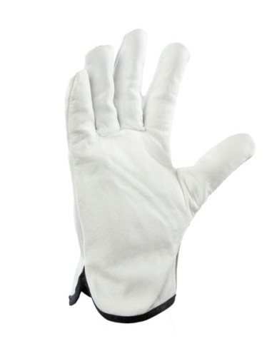 DRIVE SKÓRA BYDLĘCA - CABRA