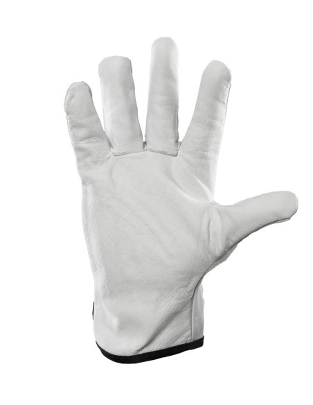 G-DRIVE SKÓRA KOZIA - CABRA