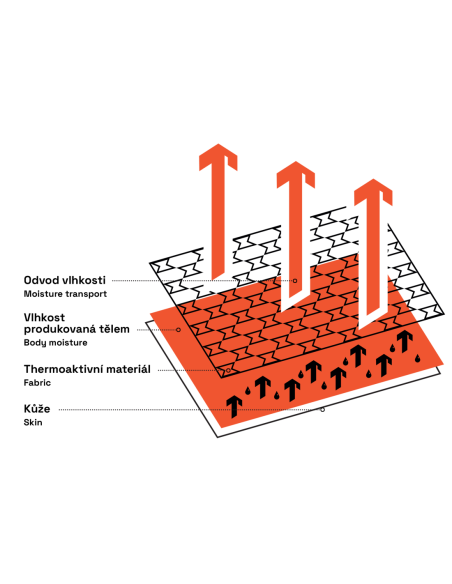 ARTEMIOS Underwear black