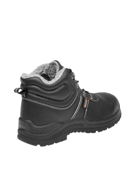 BASIC S3 Winter High