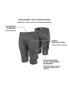 EREBOS LIGHT Shorts grey 2