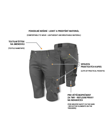 EREBOS LIGHT Shorts grey