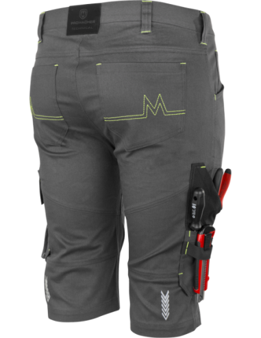 EREBOS LIGHT Shorts grey