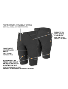 FOBOS Shorts black 2