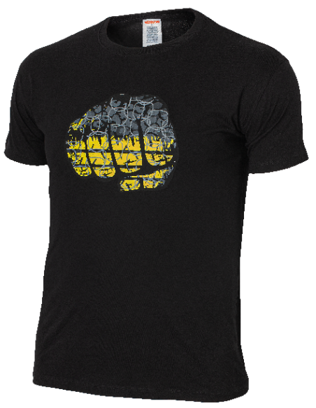 PREDATOR T-Shirt black/green