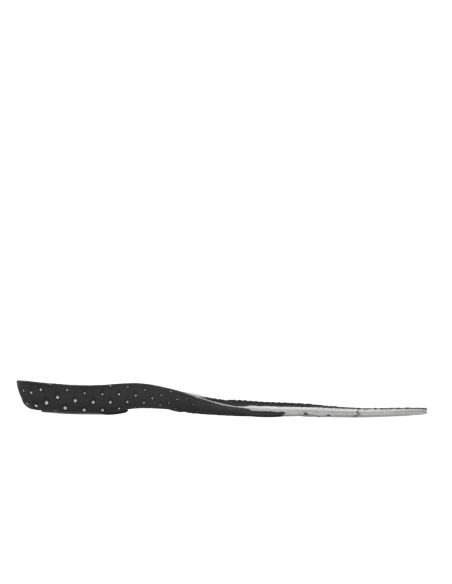 WARRIOR Insole