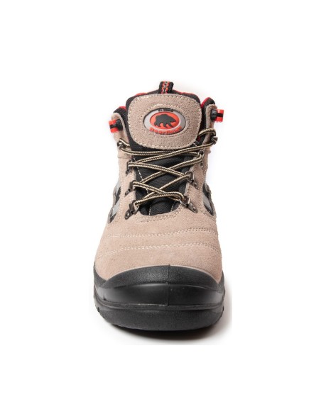 TRZEWIK R01 S1 SRC - BEARFIELD