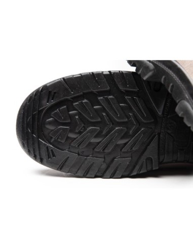 TRZEWIK R01 S1 SRC - BEARFIELD